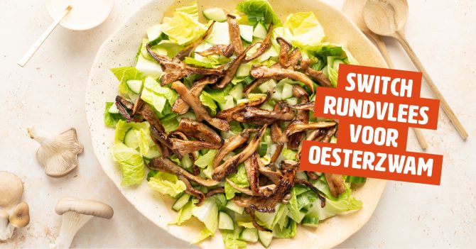 Oesterzwammen salade